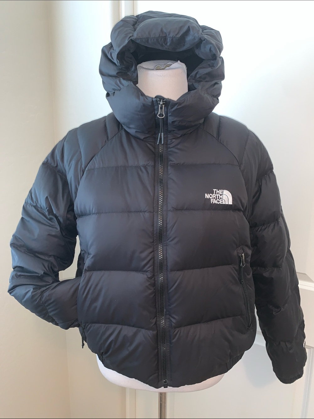 THE NORTH FACE BRAND NEW SZ LARGE HYDRENALITE 600 DOWN HOODED JACKET